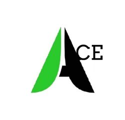 Ace Tax Services